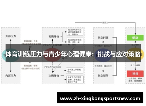 体育训练压力与青少年心理健康：挑战与应对策略